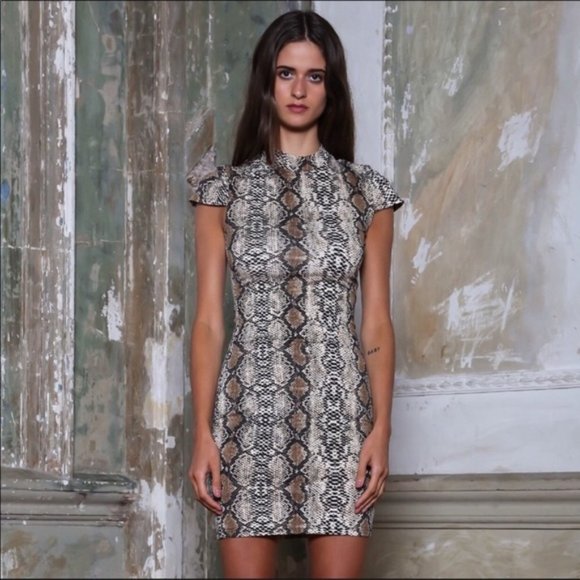 I.AM.GIA Dresses & Skirts - I.AM.GIA. Viper Aoki Snakeskin Print Dress